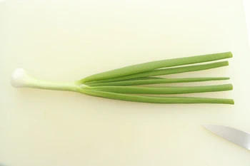 new-onion-ready-for-cutting