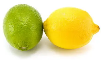 Lemon in recipes