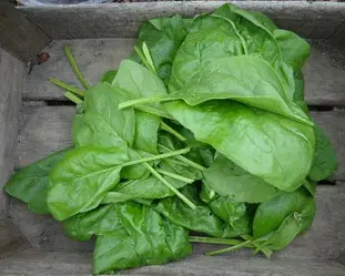 Let's rehabilitate spinach