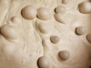 fermentation of bread dough
