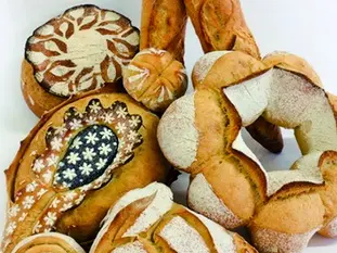 The long fermentation of bread