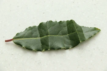 broken bay leaf