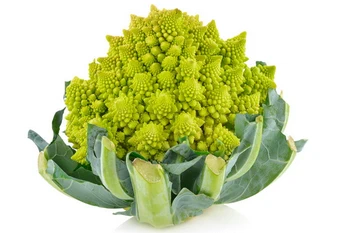 Romanesco