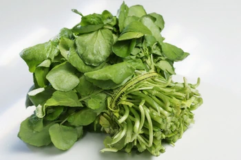 Watercress