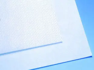 Sheet of rice (wafer) paper