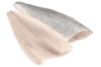 Sea bass fillet