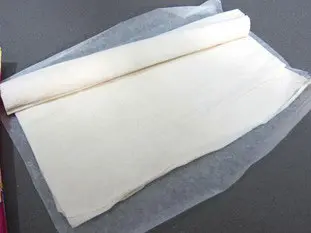 Sheet of filo pastry 