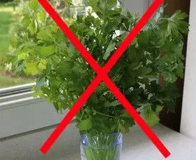 herbs preservation: bad way