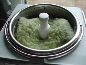 kiwi sorbet