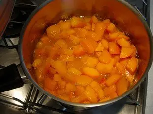 Stewed apricots : Photo of step #8