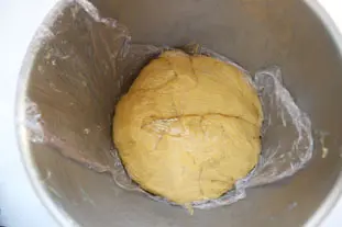 Brioche dough : Photo of step #11