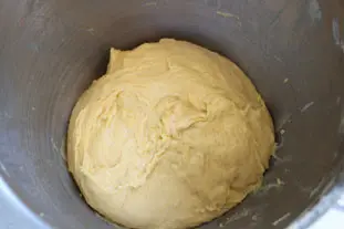 Brioche dough : Photo of step #7