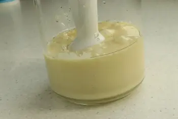 Avocado mayonnaise : etape 25