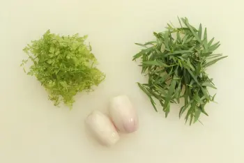 Mayonnaise-Béarnaise : Stage 2