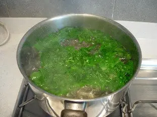 Green parsley sauce