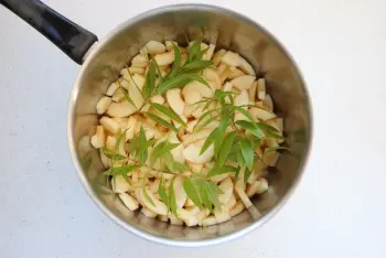 Apple compote with verbena : Stage 2