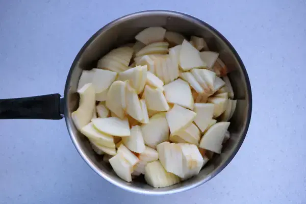Stewed apple (compote)