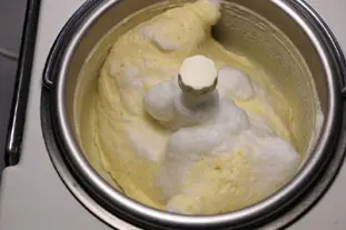 Vanilla ice cream : Photo of step #10