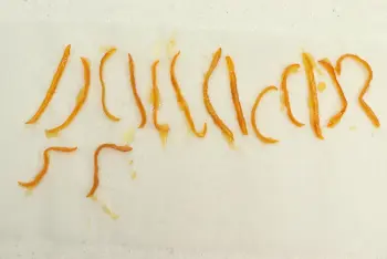 Orange Rice Pudding : Stage 12