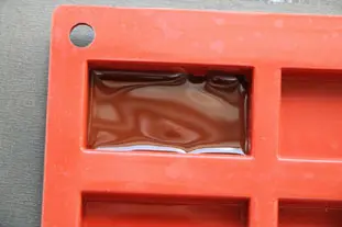 Chocolate mendiants : Photo of step #8