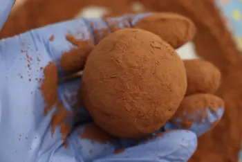 Tiramisu balls