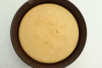 Genoa Bread : Stage 5