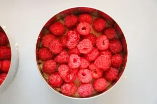 Framboisier : Photo of step #10