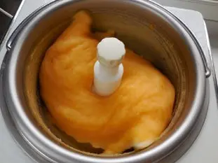 Clementine sorbet : Photo of step #26