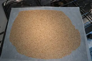 Sesame cookies : Photo of step #1