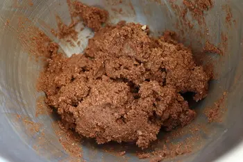 Oatmeal and chocolate shortbread