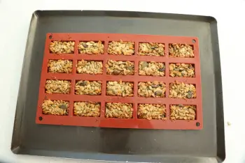 Seed cookies : Stage 4