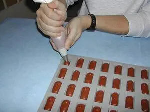 Chocolate madeleines