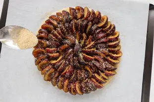 Smart plum tart : Photo of step #11