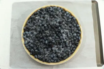 Blueberry Pie : Stage 6