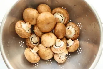Mushrooms in snails