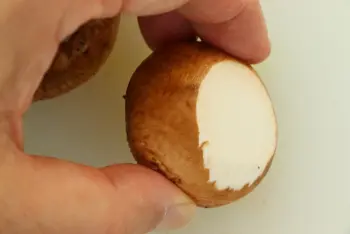 Mushrooms in snails