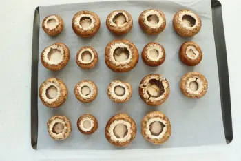 Mushrooms in snails