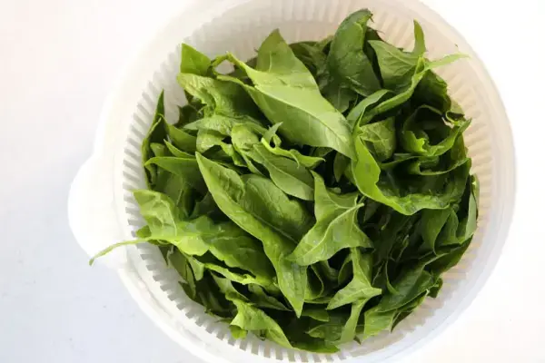 Cauliflower purée with salmon and spinach