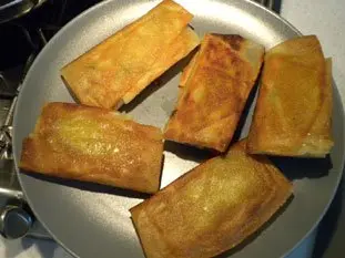 Chicken and mushroom brik rolls : Photo of step #11