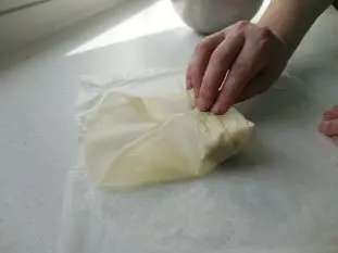 Crispy potato and mushroom brik rolls : Photo of step #9