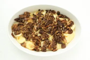 Gratin of potatoes with morels and yellow wine