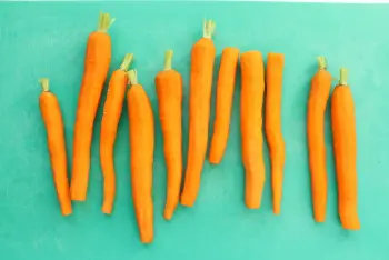 Tender roasted carrots with avocado mayonnaise : etape 25
