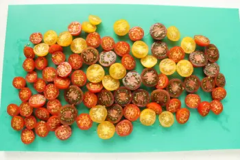 Green beans with feta cream and cherry tomatoes
