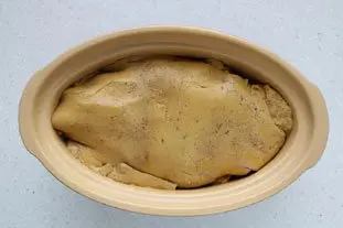Home-made terrine of foie gras