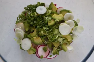 Spring radish and avocado salad