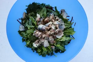Green and red salad with sardines and eggs mimosa