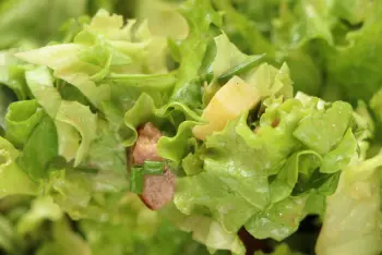 "Jules Bonnot" salad