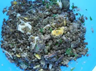 Lentil and cold-meat salad : Photo of step #26