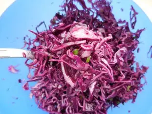 Red cabbage salad with chives : Photo of step #26