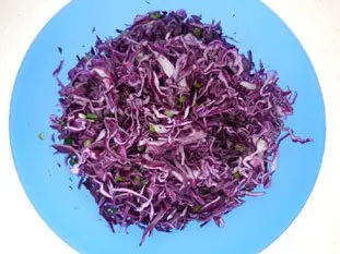 Red cabbage salad with chives : Photo of step #9